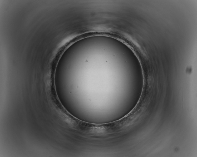 X0000101441315200807141256