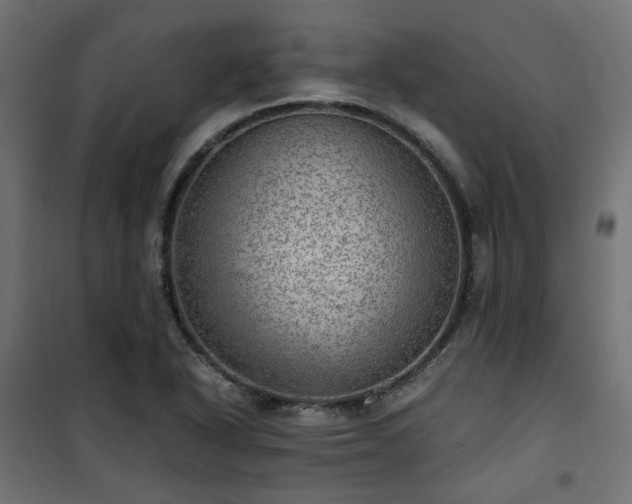 X0000101441318200807141256