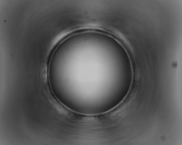 X0000101441320200807141256