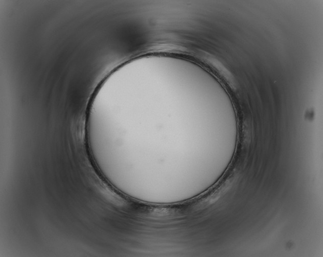 X0000101441322200807141257