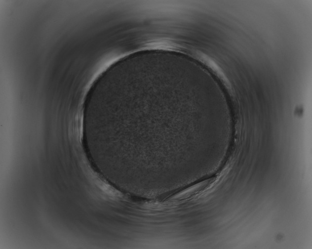 X0000101441323200807141257