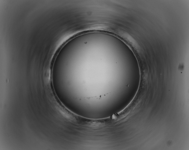 X0000101441324200807141257