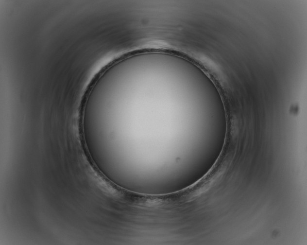 X0000101441326200807141257