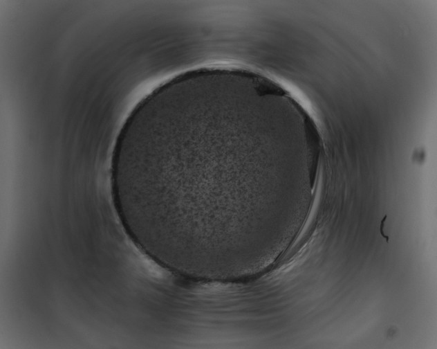 X0000101441327200807141257