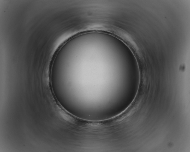 X0000101441328200807141257