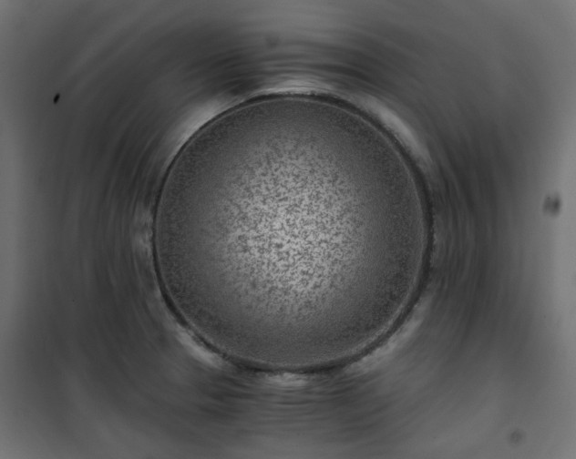 X0000101441329200807141257