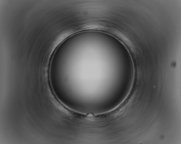 X0000101441330200807141257