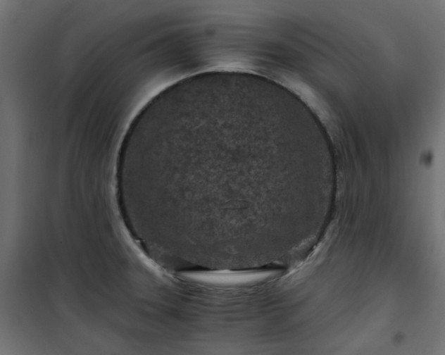 X0000101441331200807141257