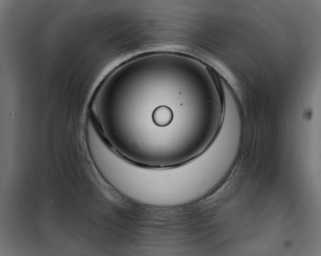 X0000101441332200807141257