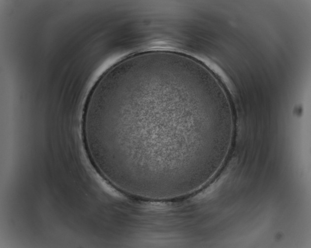 X0000101441333200807141257