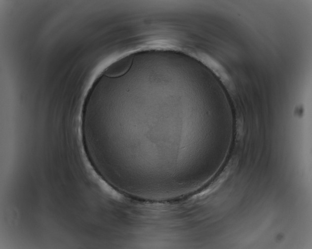 X0000101441334200807141257