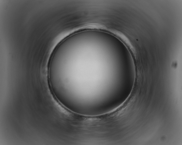 X0000101441335200807141257