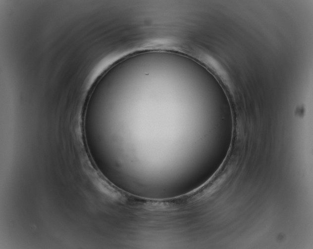 X0000101441336200807141257