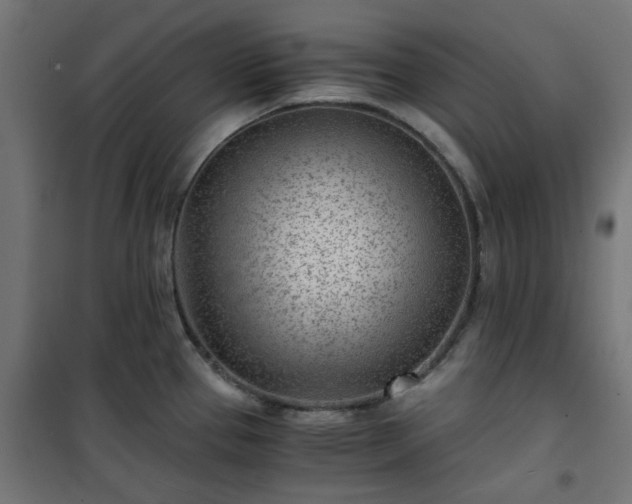 X0000101441337200807141257