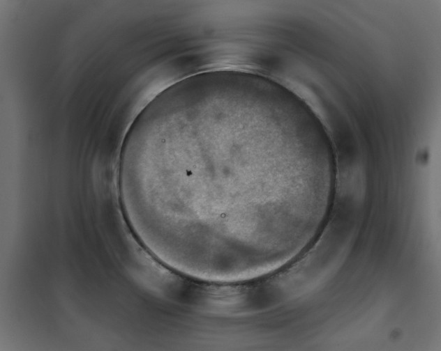 X0000101441338200807141257