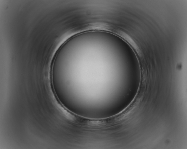 X0000101441339200807141257