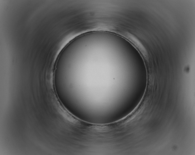 X0000101441340200807141257