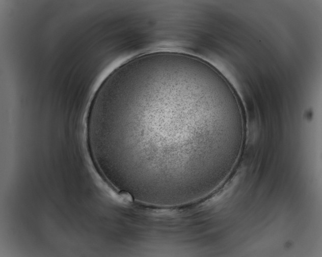 X0000101441341200807141257