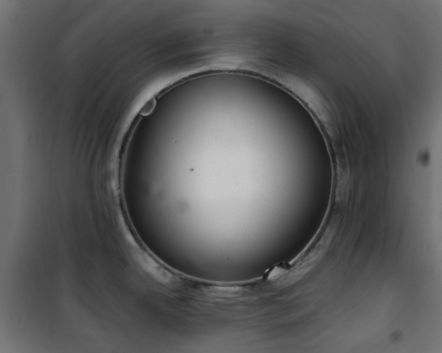 X0000101441342200807141257