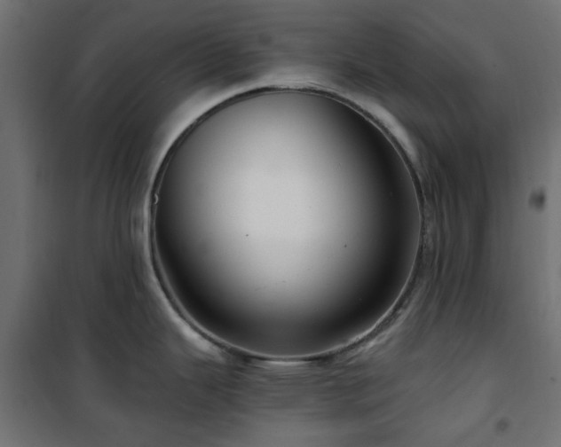 X0000101441343200807141257