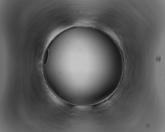 X0000101441344200807141257