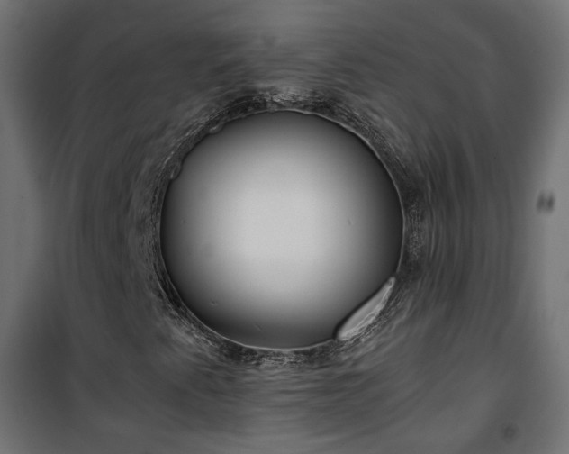 X0000101441345200807141256