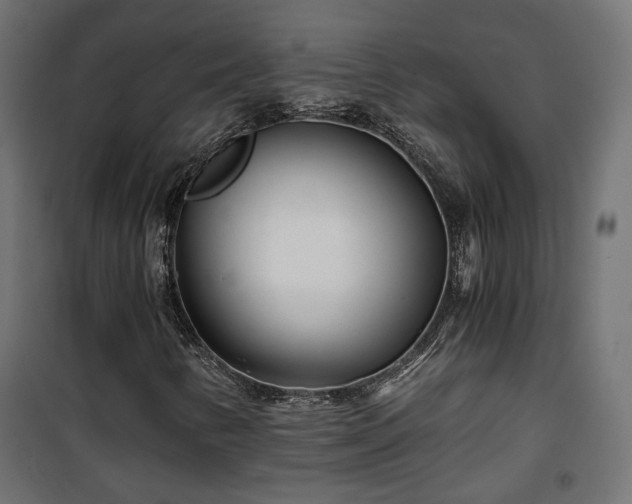 X0000101441346200807141256