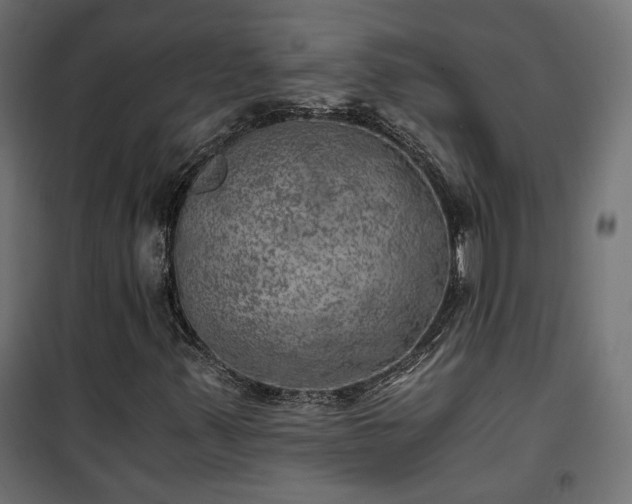 X0000101441347200807141256