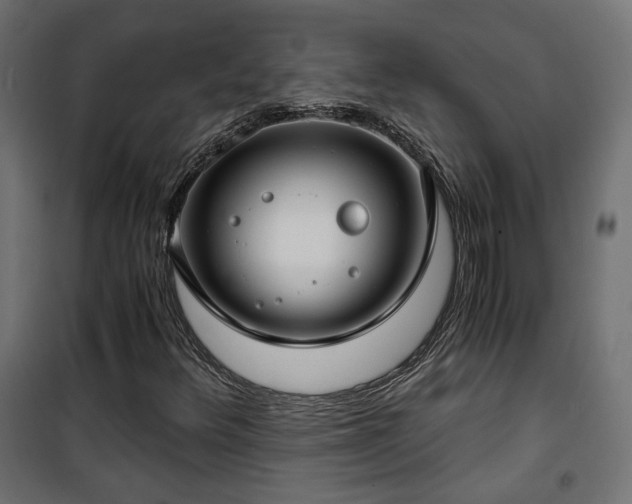 X0000101441348200807141256