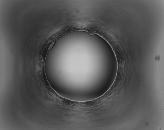 X0000101441349200807141256