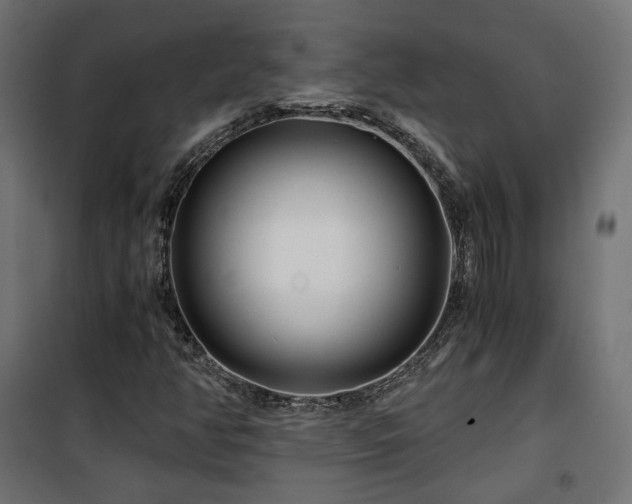 X0000101441350200807141256