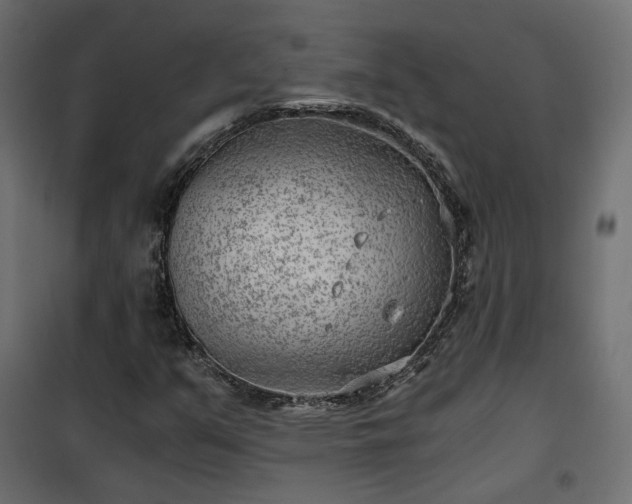 X0000101441351200807141256