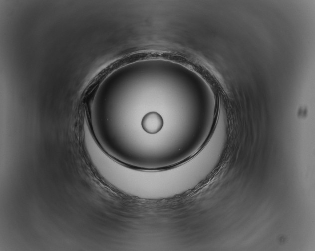 X0000101441352200807141256