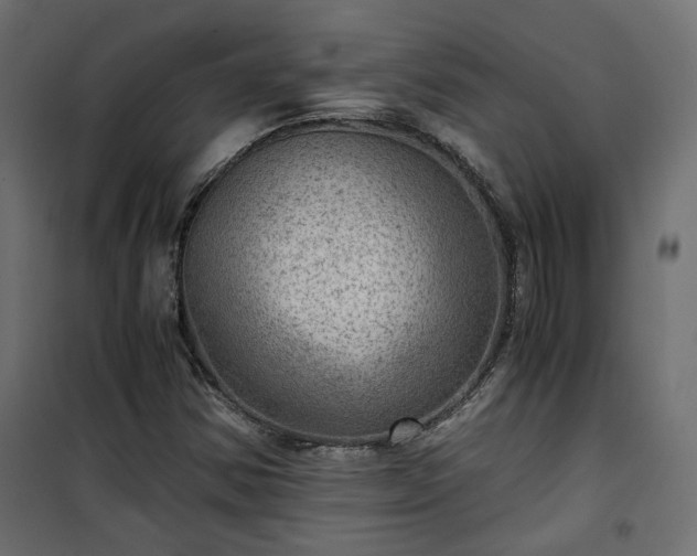 X0000101441354200807141256