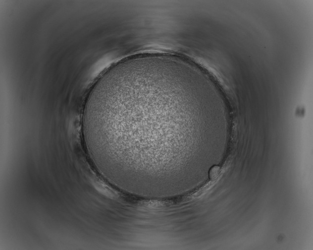 X0000101441355200807141256