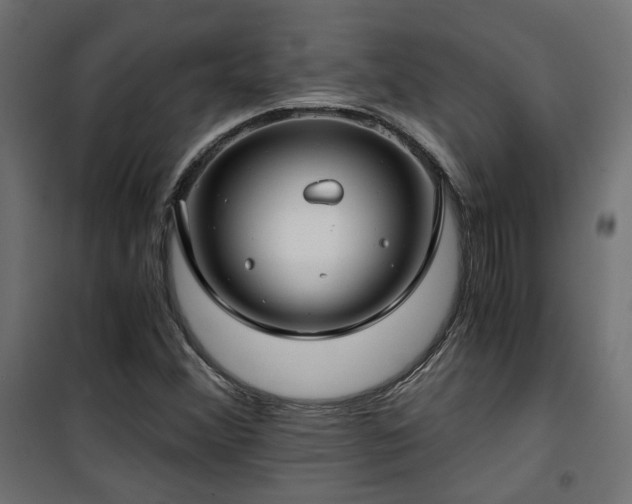 X0000101441356200807141256