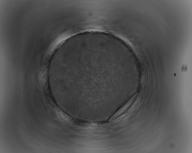 X0000101441359200807141256