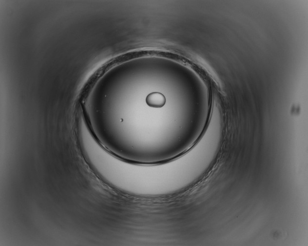 X0000101441360200807141256