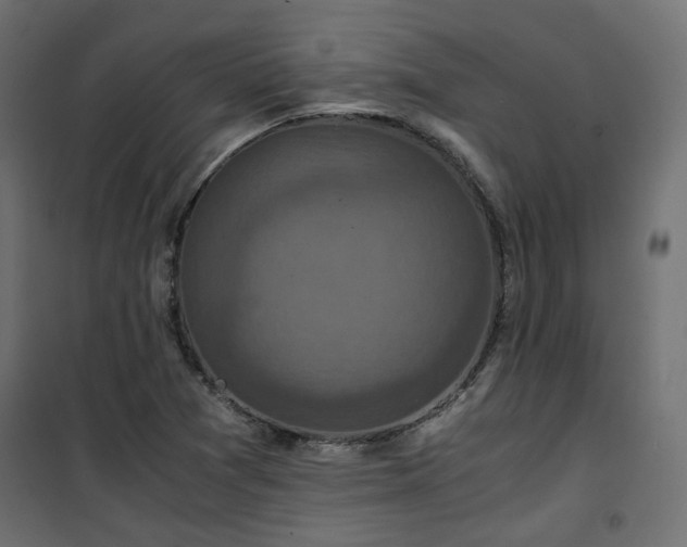 X0000101441361200807141256