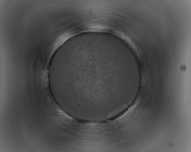 X0000101441362200807141256