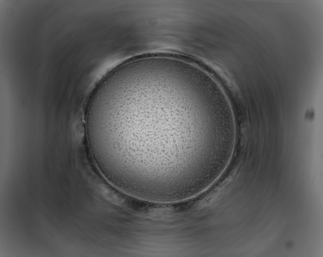 X0000101441363200807141256