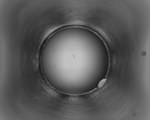 X0000101441364200807141256