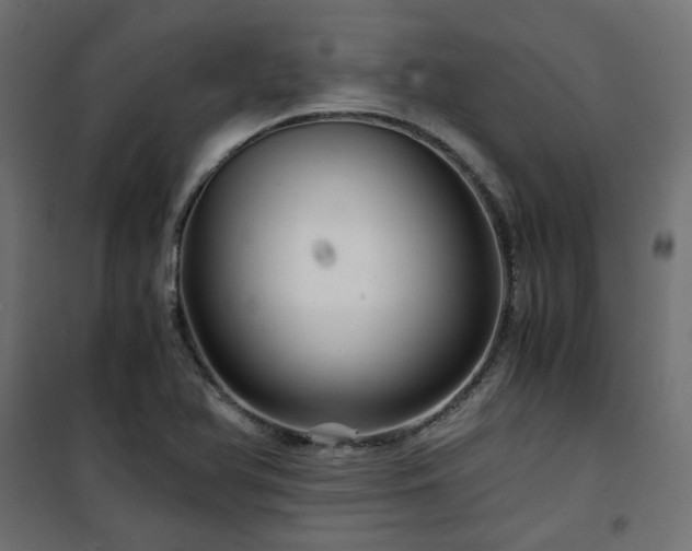 X0000101441366200807141256