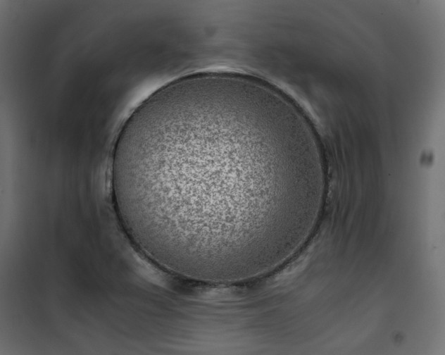 X0000101441367200807141256