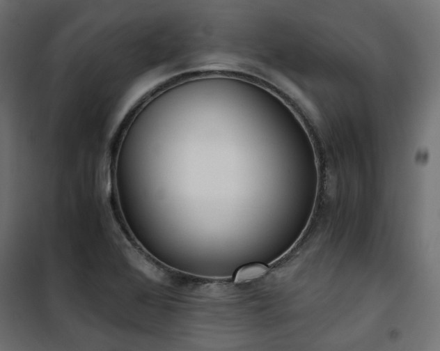 X0000101441368200807141256