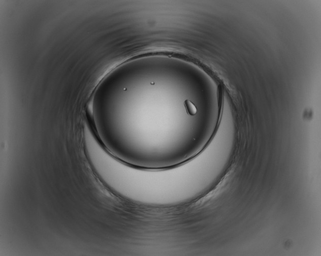 X0000101441369200807141256