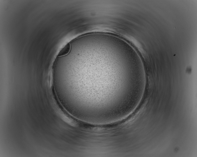 X0000101441371200807141256