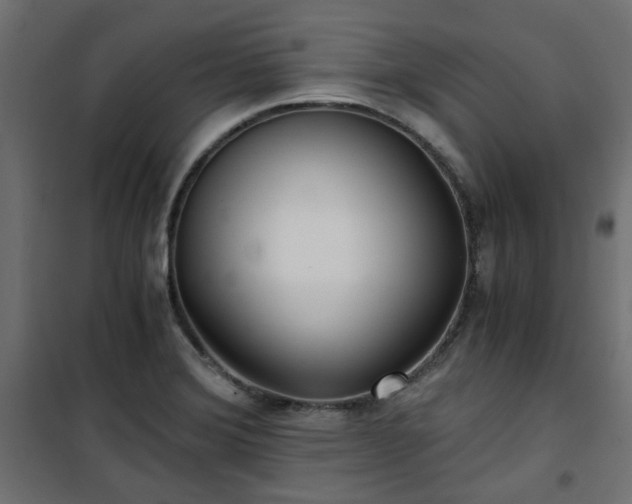 X0000101441372200807141256