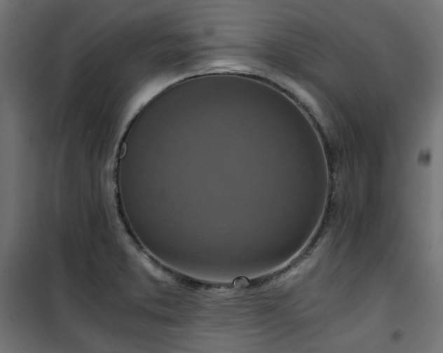 X0000101441373200807141256