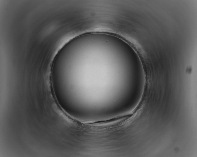 X0000101441374200807141256